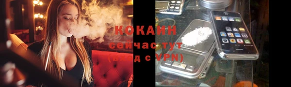 крисы Абаза