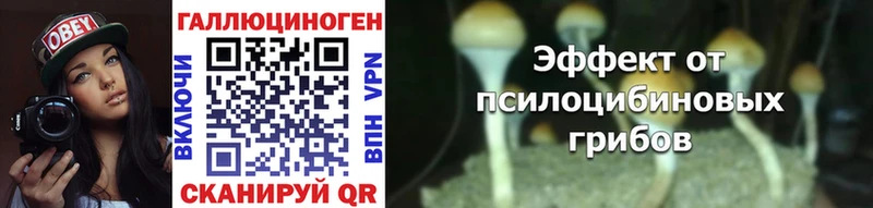 Галлюциногенные грибы прущие грибы  Котовск 