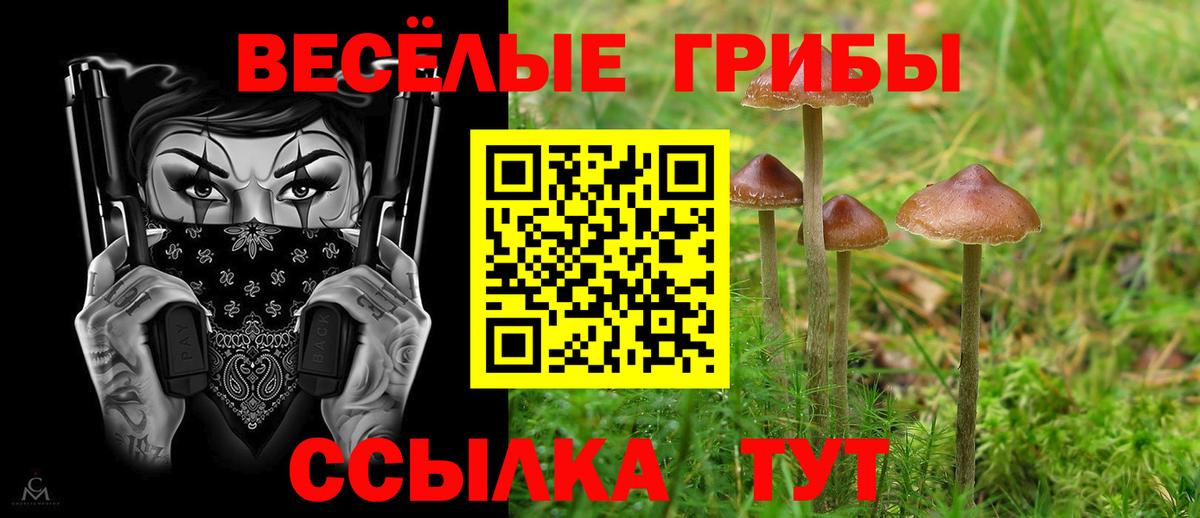 Галлюциногенные грибы MAGIC MUSHROOMS  Вход с VPN  Псилоцибиновые грибы мицелий  Котовск 
