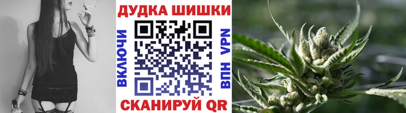 Бошки марихуана THC 21%  даркнет сайт  Котовск 